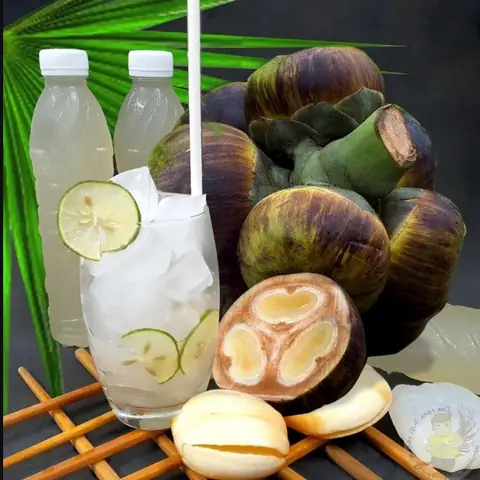 Cách Lấy Nước Thốt Nốt: Hướng Dẫn Chi Tiết Cho Người Mới