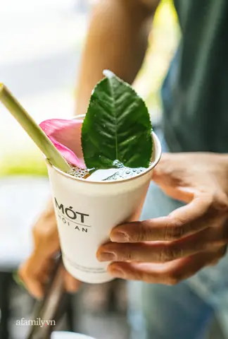 Cách Làm Nước Mót Hội An – Trà Thảo Mộc Giải Nhiệt Cách Làm Nước Mót Hội An – Trà Thảo Mộc Giải Nhiệt