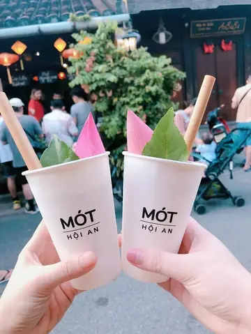 Cách Làm Nước Mót Hội An – Trà Thảo Mộc Giải Nhiệt Cách Làm Nước Mót Hội An – Trà Thảo Mộc Giải Nhiệt