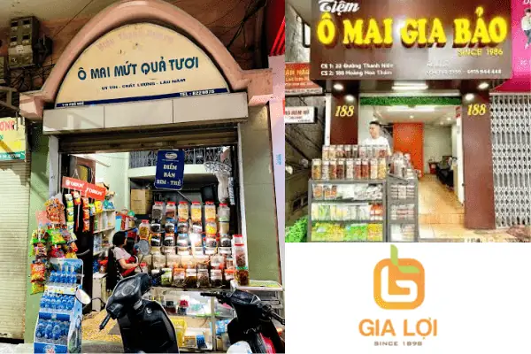 Cẩm Nang Ô Mai Hà Nội: Tìm Hiểu Nguồn Gốc, Các Loại Và Top Cửa Hàng Nổi Tiếng Cẩm Nang Ô Mai Hà Nội: Tìm Hiểu Nguồn Gốc, Các Loại Và Top Cửa Hàng Nổi Tiếng