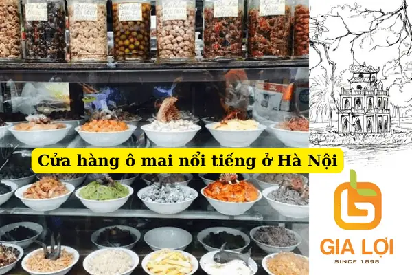 Cẩm Nang Ô Mai Hà Nội: Tìm Hiểu Nguồn Gốc, Các Loại Và Top Cửa Hàng Nổi Tiếng Cẩm Nang Ô Mai Hà Nội: Tìm Hiểu Nguồn Gốc, Các Loại Và Top Cửa Hàng Nổi Tiếng
