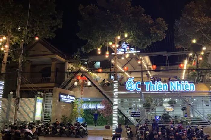 Khám Phá Ốc Thiên Nhiên 2 Vũng Tàu: Hướng Dẫn Trải Nghiệm Toàn Diện Khám Phá Ốc Thiên Nhiên 2 Vũng Tàu: Hướng Dẫn Trải Nghiệm Toàn Diện
