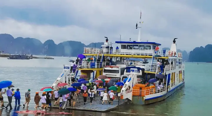 Phà Tuần Châu - Cát Bà: Lịch Chạy, Giá Vé Cập Nhật & Bí Quyết Di Chuyển Thông Minh