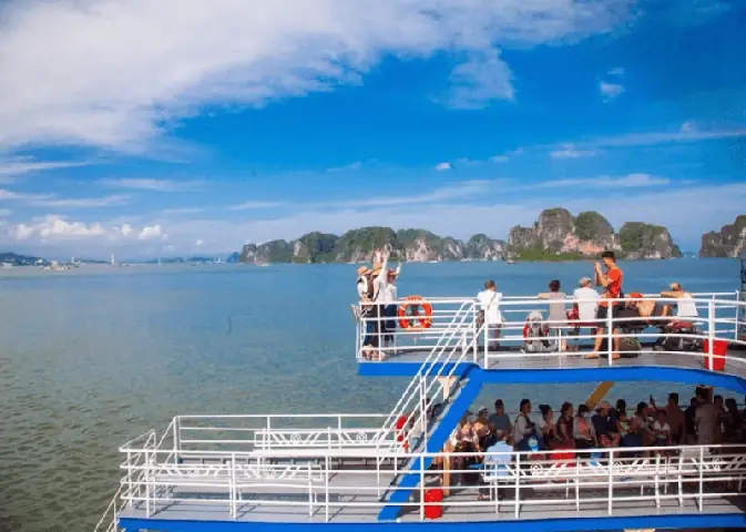 Phà Tuần Châu - Cát Bà: Lịch Chạy, Giá Vé Cập Nhật & Bí Quyết Di Chuyển Thông Minh