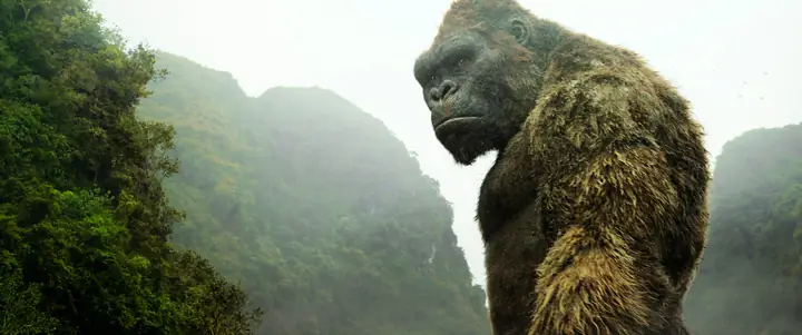 Khám Phá Đầm Vân Long – Địa Điểm Quay “kong: Skull Island” Và Du Lịch Sinh Thái Khám Phá Đầm Vân Long – Địa Điểm Quay “kong: Skull Island” Và Du Lịch Sinh Thái