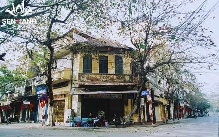 Phố Cổ Hà Nội Thuộc Quận Nào? Giải Đáp Chi Tiết Phố Cổ Hà Nội Thuộc Quận Nào? Giải Đáp Chi Tiết
