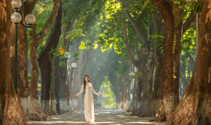 Phố Phan Đình Phùng Hà Nội: Lịch Sử, Điểm Đến Và Trải Nghiệm Phố Phan Đình Phùng Hà Nội: Lịch Sử, Điểm Đến Và Trải Nghiệm