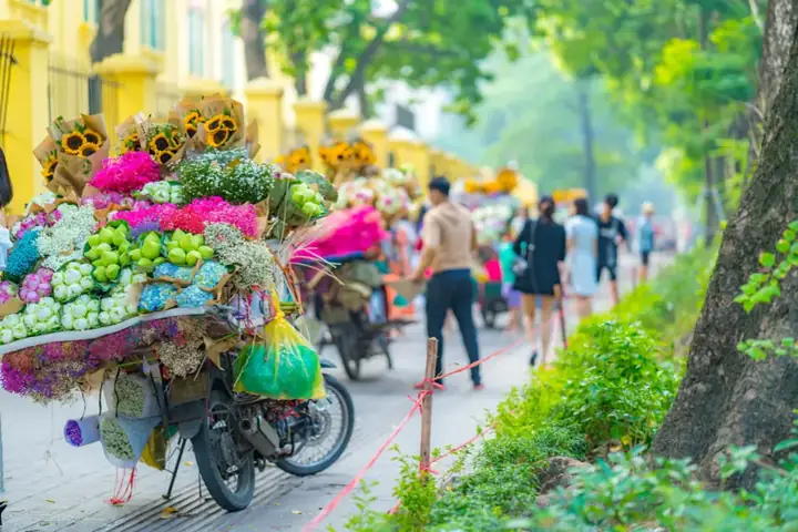 Phố Phan Đình Phùng Hà Nội: Lịch Sử, Điểm Đến Và Trải Nghiệm Phố Phan Đình Phùng Hà Nội: Lịch Sử, Điểm Đến Và Trải Nghiệm