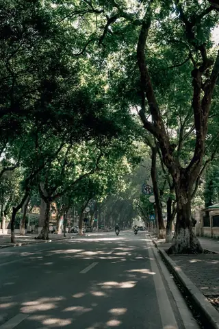 Phố Phan Đình Phùng Hà Nội: Lịch Sử, Điểm Đến Và Trải Nghiệm Phố Phan Đình Phùng Hà Nội: Lịch Sử, Điểm Đến Và Trải Nghiệm