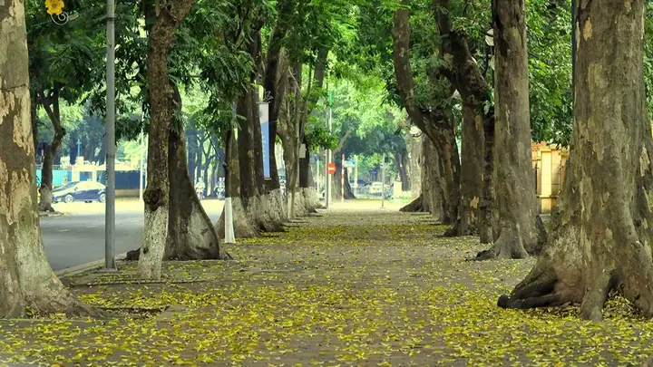 Phố Phan Đình Phùng Hà Nội: Lịch Sử, Điểm Đến Và Trải Nghiệm Phố Phan Đình Phùng Hà Nội: Lịch Sử, Điểm Đến Và Trải Nghiệm