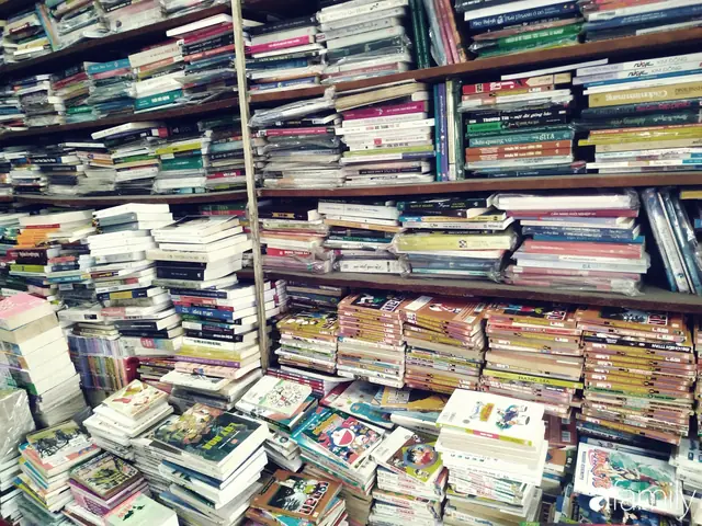 Phố Sách Cũ Trần Nhân Tôn: Lịch Sử, Hiện Trạng Và Giá Trị Văn Hoá