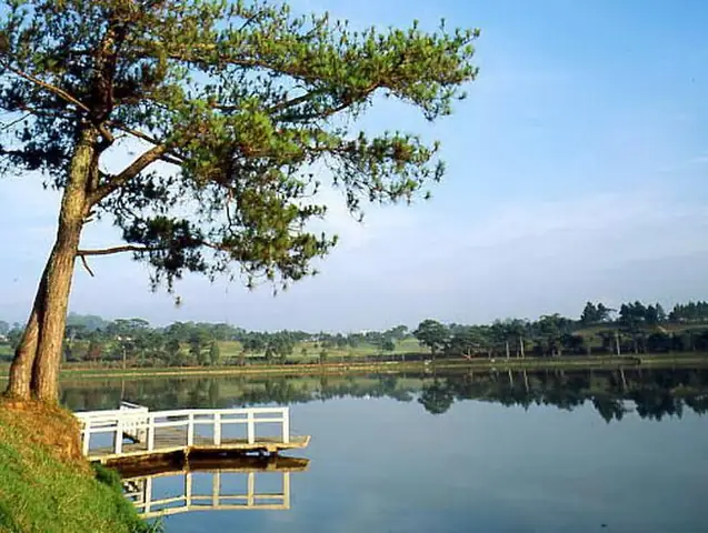 Khám Phá 10 Cảnh Đẹp Đà Lạt Tuyệt Vời Cho Du Khách