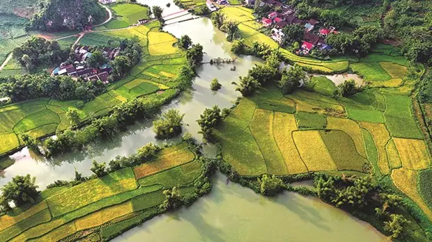Khám Phá Thung Lũng Phong Nậm – Điểm Đến Xanh Cho Du Khách Khám Phá Thung Lũng Phong Nậm – Điểm Đến Xanh Cho Du Khách