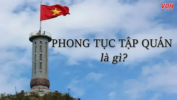 Phong Tục Tập Quán Là Gì? Hiểu Rõ Bản Sắc Văn Hóa Việt Nam