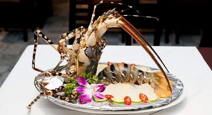 Khám Phá 10 Quán Ăn Ngon Ở Côn Đảo Dành Cho Mọi Thực Khách Khám Phá 10 Quán Ăn Ngon Ở Côn Đảo Dành Cho Mọi Thực Khách