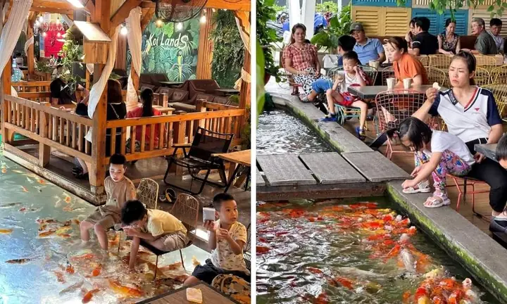 Khám Phá 10 Quán Cafe Cá Koi Đẹp Nhất Cho Buổi Hẹn Hò