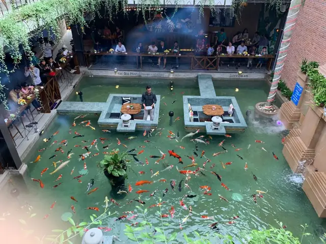 Khám Phá 10 Quán Cafe Cá Koi Đẹp Nhất Cho Buổi Hẹn Hò