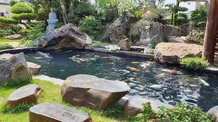 Khám Phá 10 Quán Cafe Cá Koi Đẹp Nhất Cho Buổi Hẹn Hò