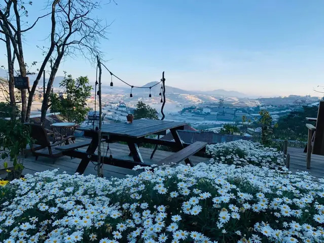 Khám Phá 20 Quán Cafe Đà Lạt Đẹp Nhất Cho Góc Chụp Ảnh