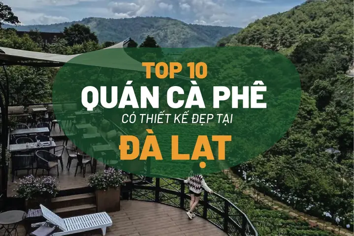 Top 25 Quán Cafe Đẹp Ở Đà Lạt: Điểm Hẹn Lý Tưởng Cho Chuyến Xê Dịch