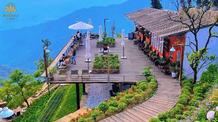 Top 25 Quán Cafe Đẹp Ở Đà Lạt: Điểm Hẹn Lý Tưởng Cho Chuyến Xê Dịch