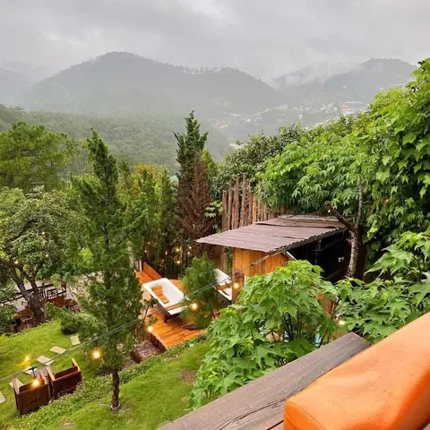 Khám Phá Gâu Garden – Quán Cafe Thú Cưng Đà Lạt Đầy Không Gian Xanh Khám Phá Gâu Garden – Quán Cafe Thú Cưng Đà Lạt Đầy Không Gian Xanh