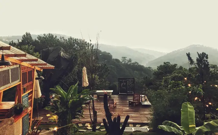 Khám Phá Gâu Garden – Quán Cafe Thú Cưng Đà Lạt Đầy Không Gian Xanh Khám Phá Gâu Garden – Quán Cafe Thú Cưng Đà Lạt Đầy Không Gian Xanh