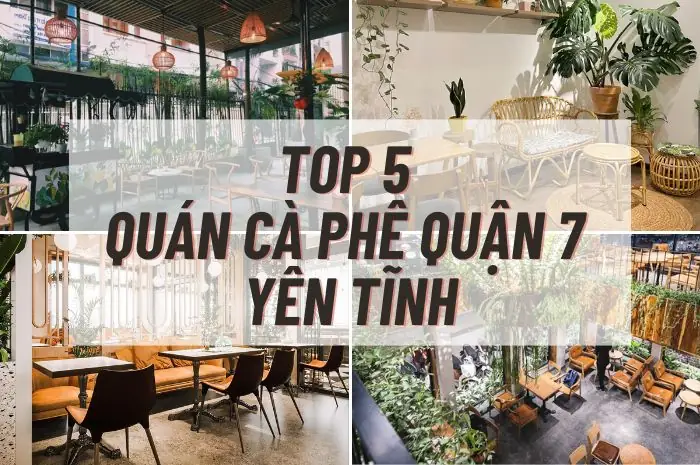 Khám Phá 12 Quán Cà Phê Yên Tĩnh Quận 7 Cho Học Tập Và Làm Việc