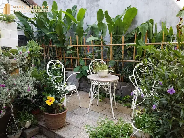 Khám Phá 10 Quán Cà Phê Sân Vườn Đẹp Nhất Ở Quy Nhơn Khám Phá 10 Quán Cà Phê Sân Vườn Đẹp Nhất Ở Quy Nhơn