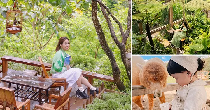 Khám Phá 10 Quán Cafe Đẹp Đà Lạt Cho Fan Sống Ảo
