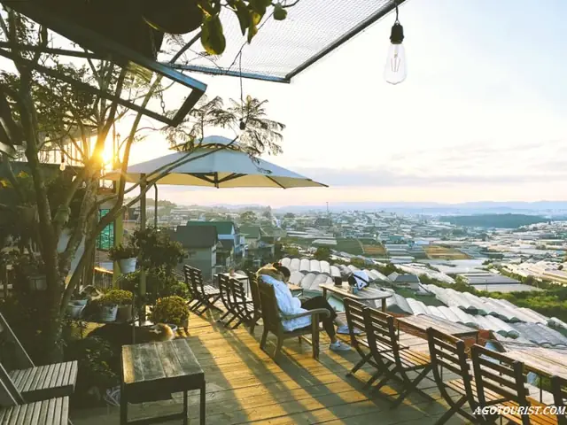Khám Phá 20 Quán Cafe Đẹp Đà Lạt Cho Trải Nghiệm Thơ Mộng