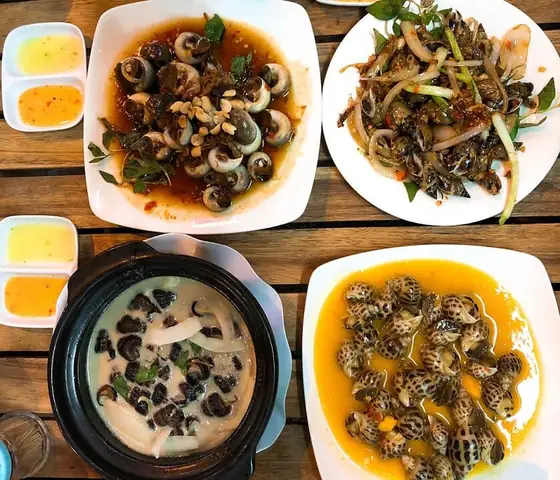 Khám Phá 12 Quán Ốc Ngon Đà Nẵng Dành Cho Thực Khách Địa Phương