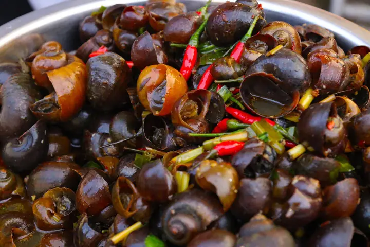 Khám Phá 12 Quán Ốc Ngon Đà Nẵng Dành Cho Thực Khách Địa Phương
