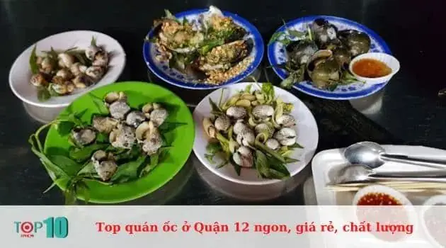 Khám Phá Top 10 Quán Ốc Ngon Quận 12 Cho Tín Đồ Hải Sản