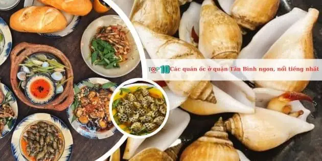 Khám Phá 7 Quán Ốc Ngon Nhất Bình Tân Dành Cho Tín Đồ Hải Sản Khám Phá 7 Quán Ốc Ngon Nhất Bình Tân Dành Cho Tín Đồ Hải Sản