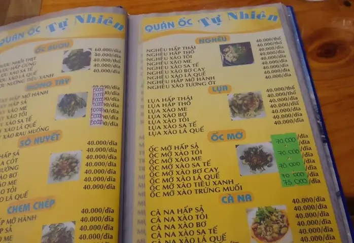 Khám Phá 10 Quán Ốc Tự Nhiên Vũng Tàu Đánh Giá Cho Du Khách