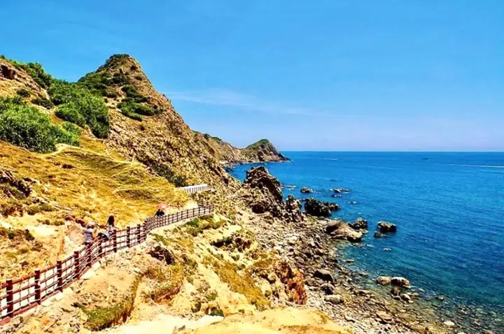 Cẩm Nang Quy Nhơn: Khám Phá 15 Điểm Đến Đặc Sắc Từ Biển Xanh Đến Di Tích Cổ