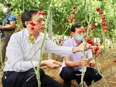 Tìm Hiểu Tổng Quan Xã Quỳnh Trang – Lịch Sử, Địa Lý, Dân Số