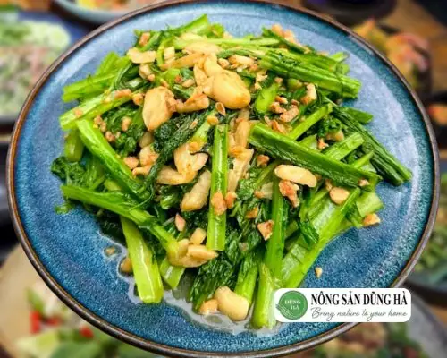 Cách Làm Món Cải Mèo Ngon Cho Gia Đình Với 5 Công Thức Nhanh