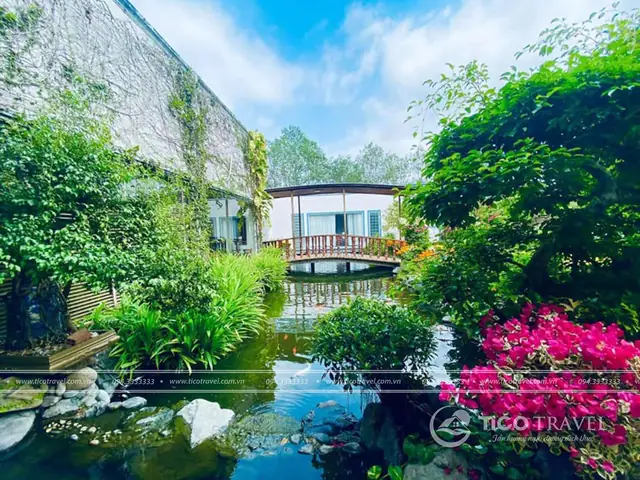 Review Forever Green Resort Bến Tre: Điểm Đến Lý Tưởng Cho Kỳ Nghỉ Sông Nước