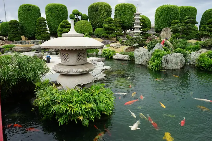 Khám Phá Rin Rin Park – Công Viên Đá Nhật & Hồ Cá Koi Hóc Môn