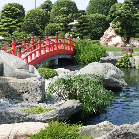 Khám Phá Rin Rin Park – Công Viên Đá Nhật & Hồ Cá Koi Hóc Môn
