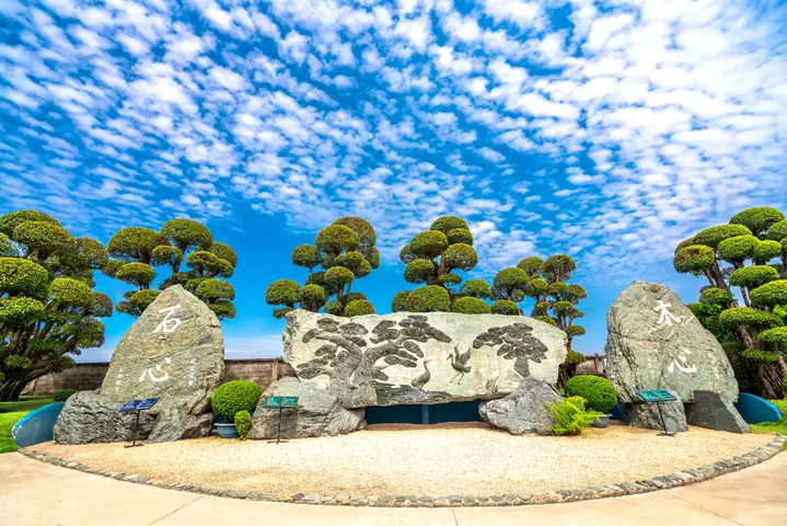 Khám Phá Rin Rin Park – Công Viên Đá Nhật & Hồ Cá Koi Hóc Môn