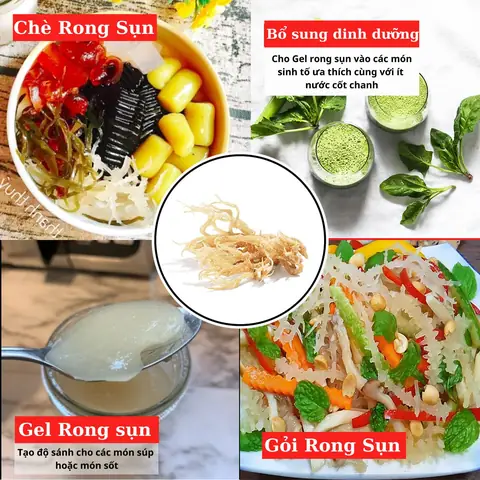 Rong Sụn Có Tác Dụng Gì? Tìm Hiểu Đầy Đủ Và Chi Tiết