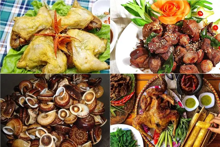 Rừng Cúc Phương Có Gì Chơi? Cẩm Nang Trải Nghiệm Toàn Diện Từ A Đến Z Rừng Cúc Phương Có Gì Chơi? Cẩm Nang Trải Nghiệm Toàn Diện Từ A Đến Z