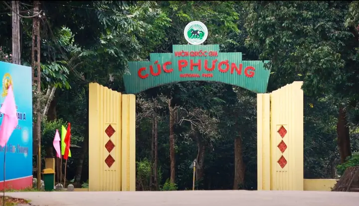 Vườn Quốc Gia Cúc Phương: Khám Phá Vẻ Đẹp Thiên Nhiên