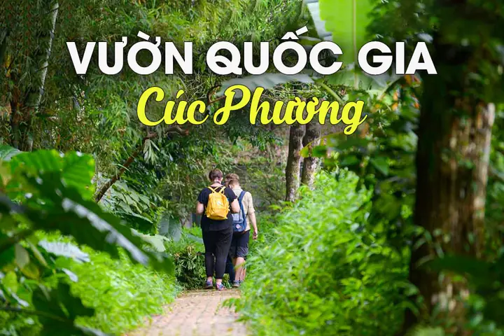 Vườn Quốc Gia Cúc Phương: Khám Phá Vẻ Đẹp Thiên Nhiên