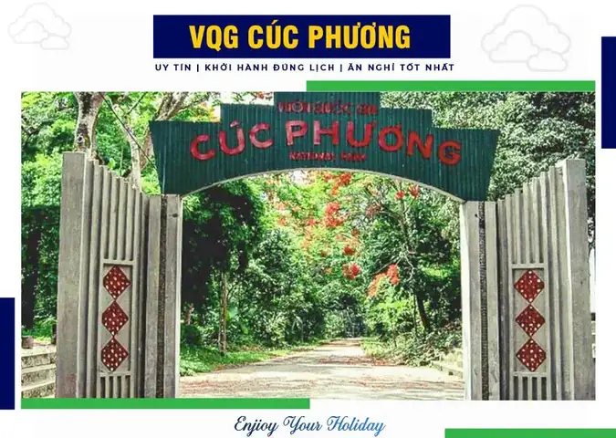 Vườn Quốc Gia Cúc Phương: Khám Phá Vẻ Đẹp Thiên Nhiên