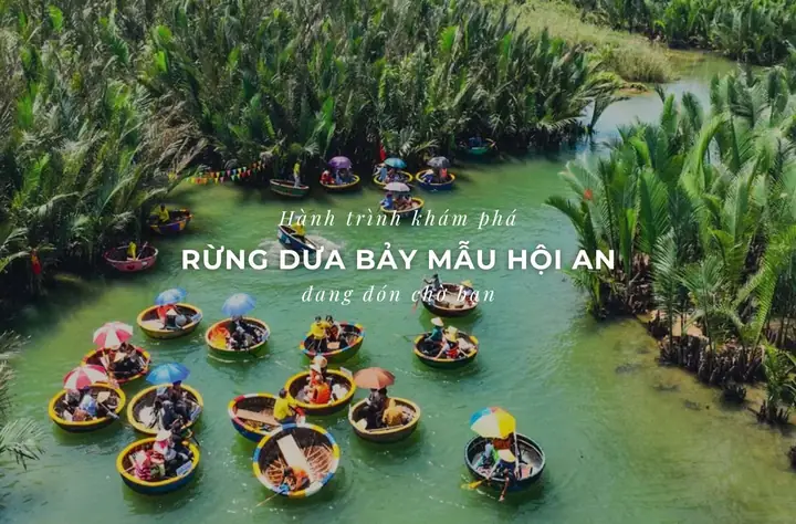 Rừng Dừa 7 Mẫu Ở Đâu: Hướng Dẫn Chi Tiết Vị Trí Và Cách Đến