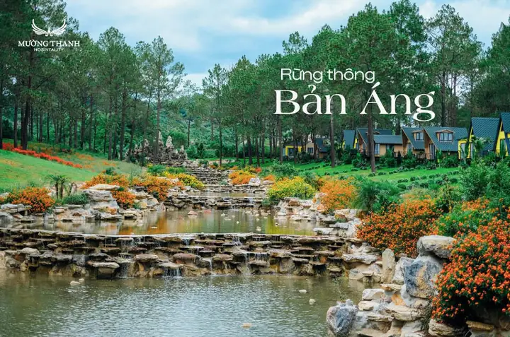 Rừng Thông Bản Áng: Khám Phá Đà Lạt Thu Nhỏ Tây Bắc
